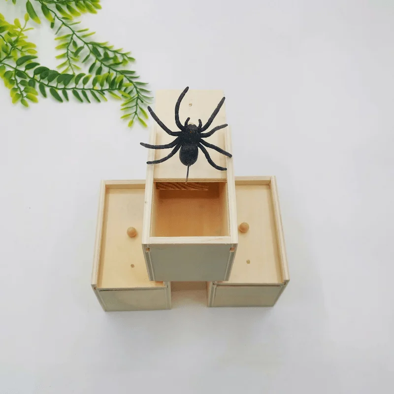 WOODEN SPIDER BOX - Image 4
